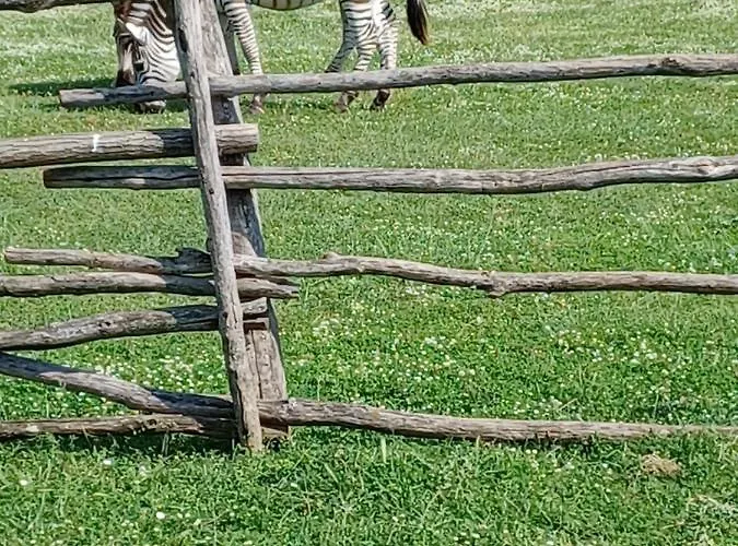 La E Il Mare * 풀라