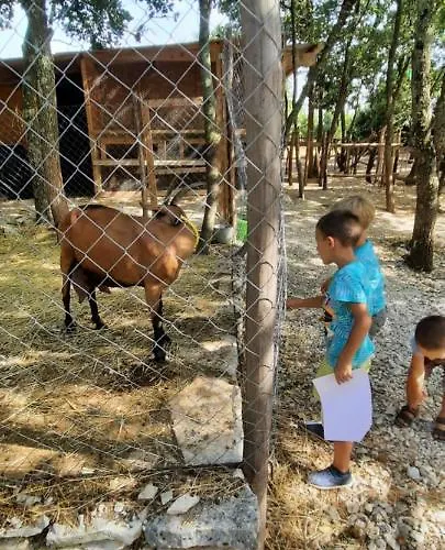 La E Il Mare 아파트 *